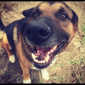 Meet your Posher, Steph